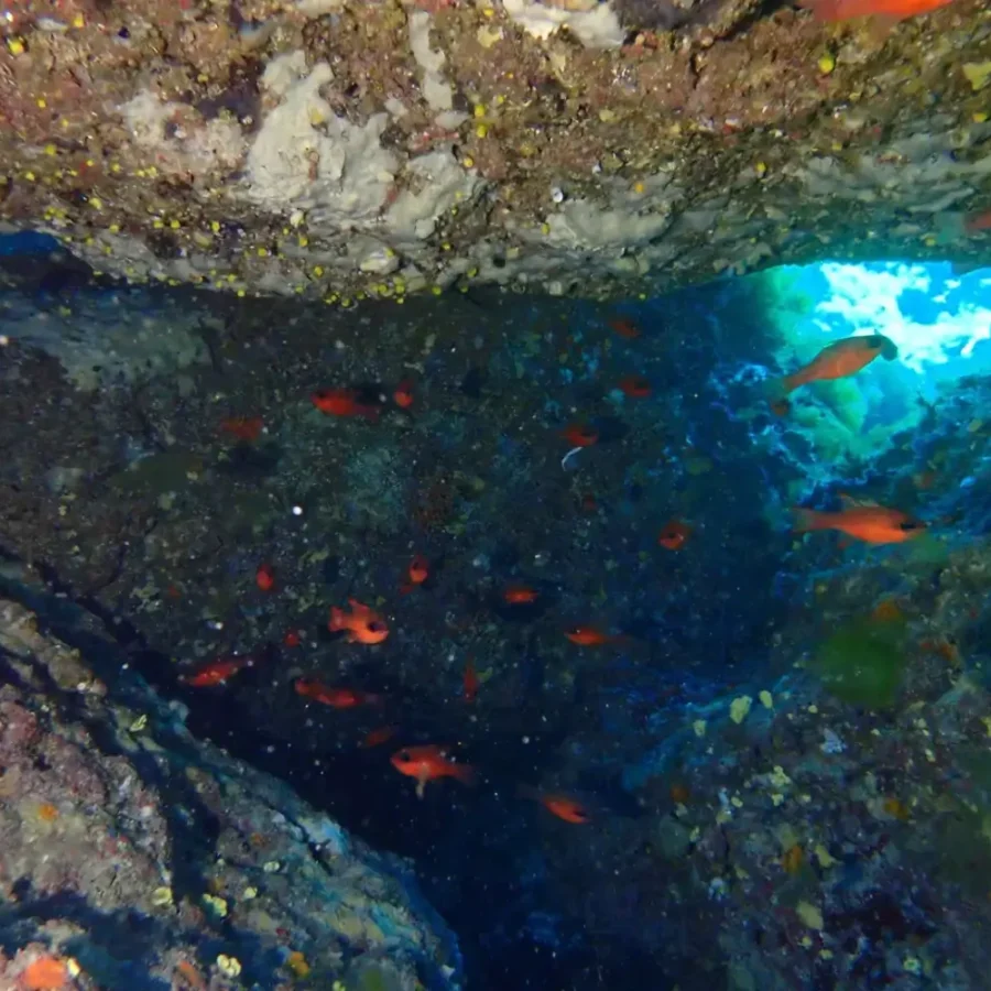 / Els Blocs - Cala'n Forcat