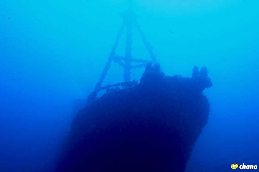 / Cova d’en Penjat