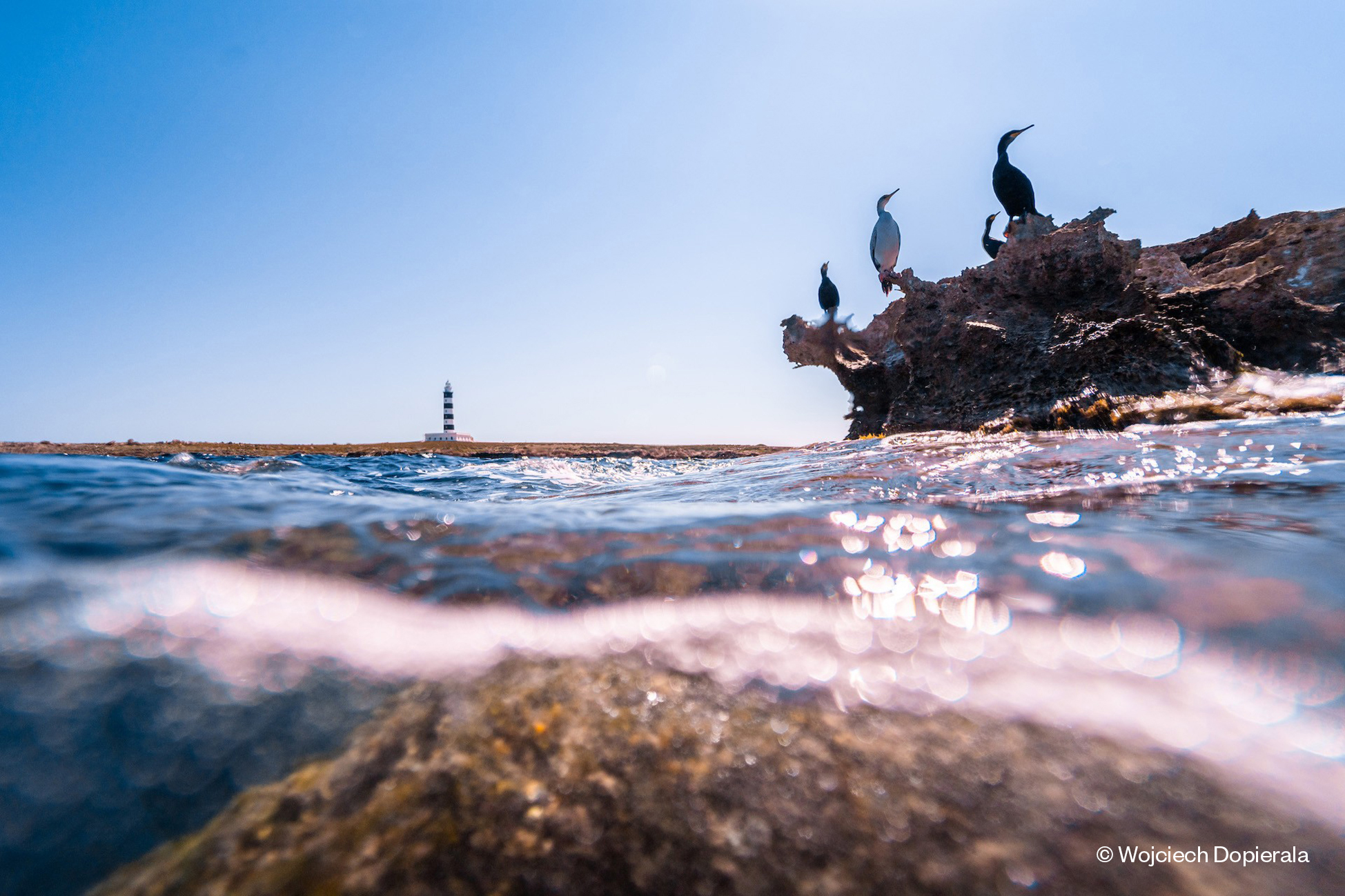 menorca-slowdiving-iniciativa-marilles-foto-1